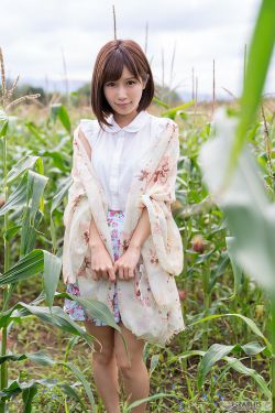 哥斯拉大战金刚