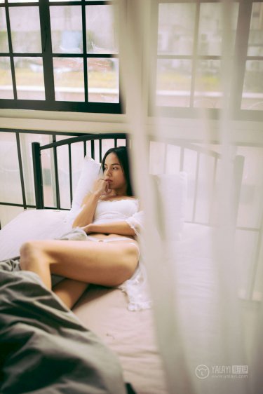 金瓶双艳在线播放