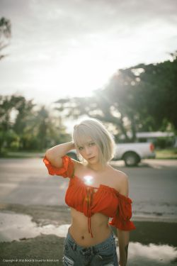 纵有疾风起人生不言弃